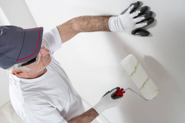 Best Industrial Mold Remediation  in Fremont, IN