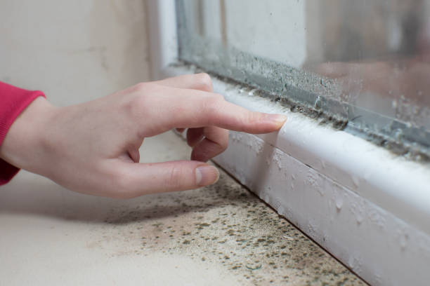 Best Airborne Mold Testing  in Fremont, IN